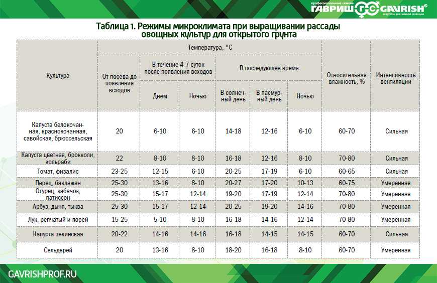 Какую температуру выдерживает рассада капусты?
