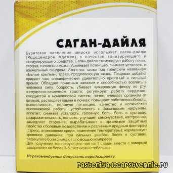 Рододендрон адамса: полезные свойства и противопоказания