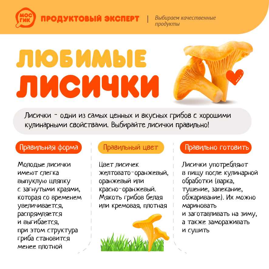 Лисички ложные, как готовить. лисичка ложная — несъедобный двойник съедобных видов лисичек | здоровье человека