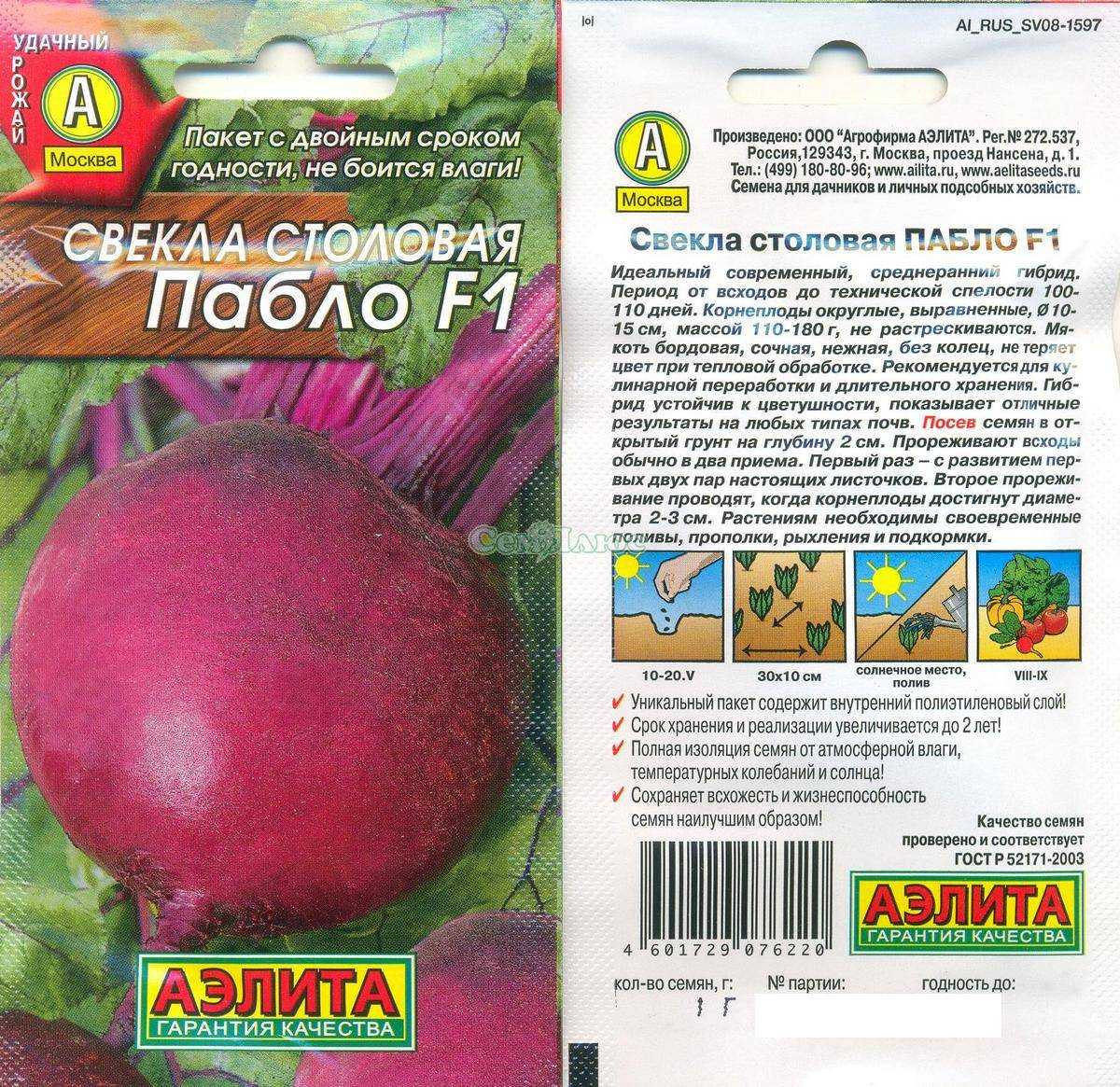 Свекла пабло: описание и характеристика сорта с фото