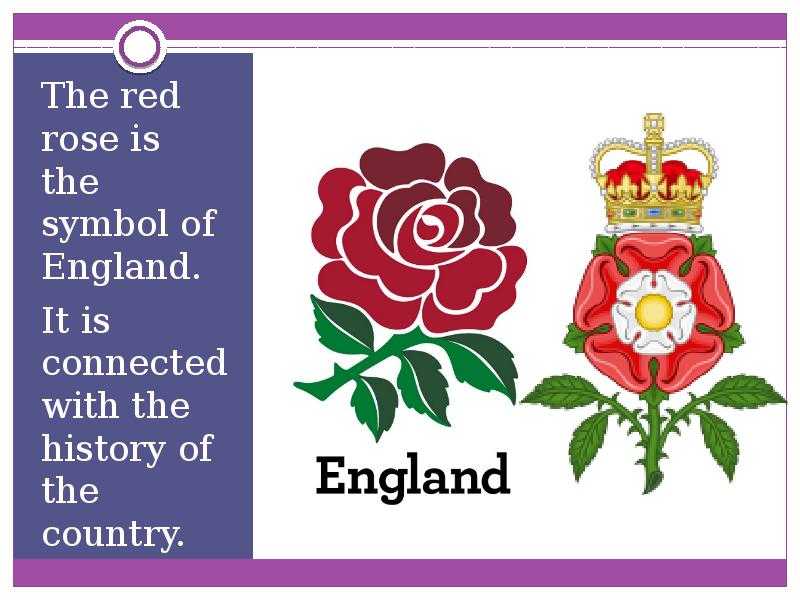 Символы великобритании. national emblems in great britain. национальные символы великобритании