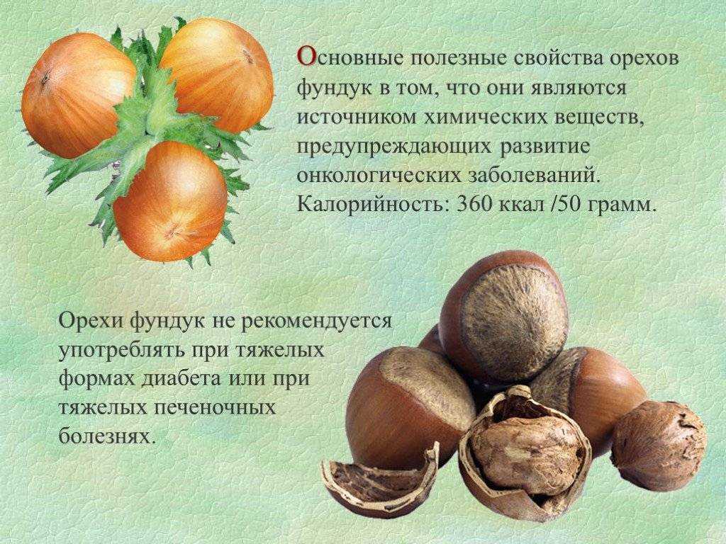 Грецкий орех — местные формы