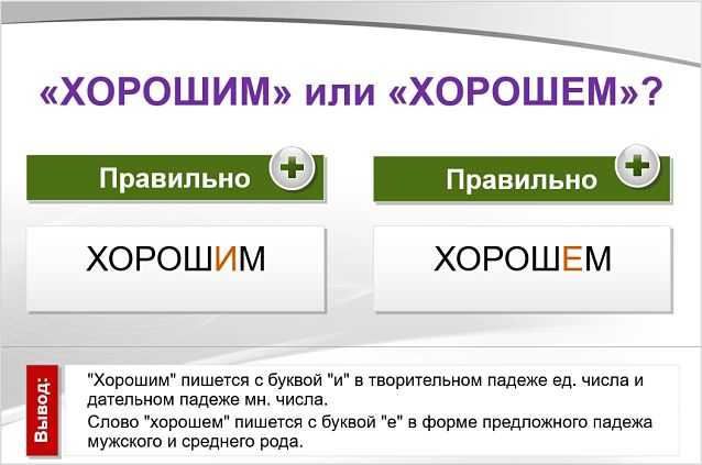 Завести или завезти документы: как правильно оформлять документацию для бизнеса