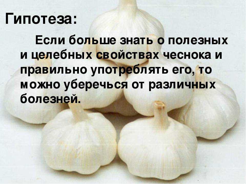 Чеснок на ночь: можно ли есть, польза от применения зубчика, что будет, если положить его в ухо, а также возможный вред и противопоказания