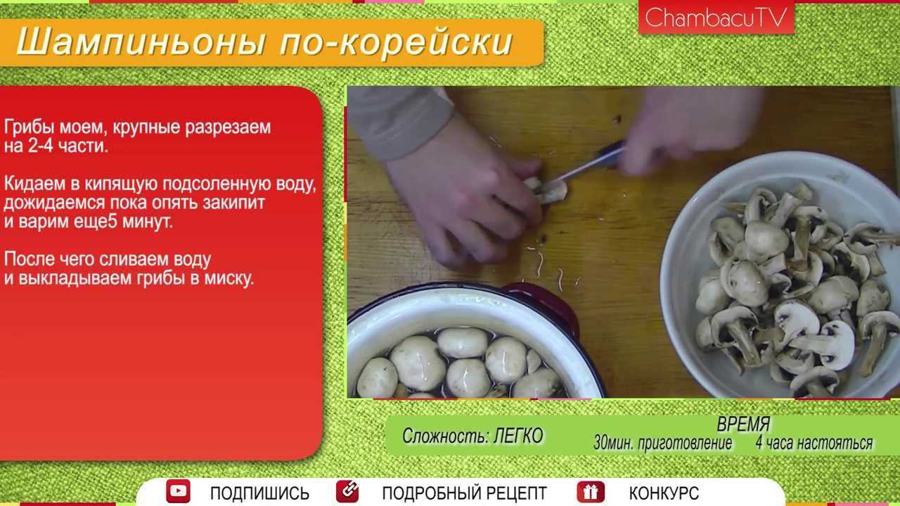 Особенности приготовления польских грибов: как сварить, почистить и замариновать на зиму