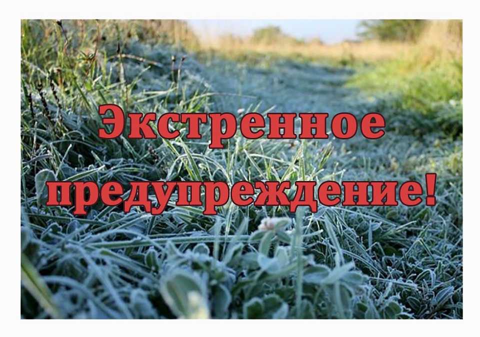 Что делать если подмёрзла картошка