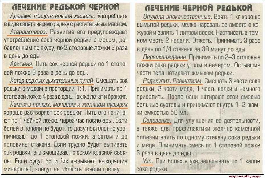 Редька с мёдом от кашля - рецепты для детей и взрослых, при беременности, как принимать, противопоказания и отзывы