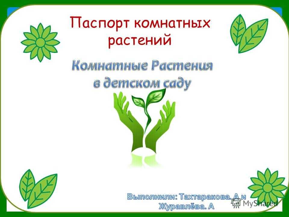 Презентация на тему: "презентация «паспорт комнатных растений» презентацию подготовила: воспитатель высшей квалификационной категории кичигина н.а. мадоу 18 «детский сад «ладушки»". скачать бесплатно и без регистрации.