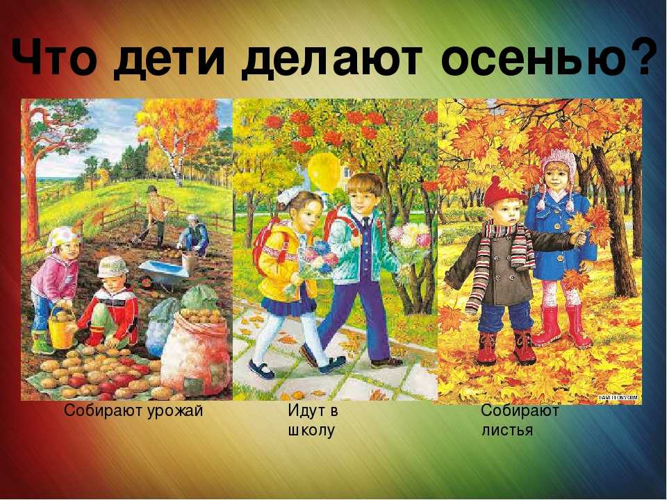 Что люди делают осенью в доме. перечисли, чем занимаются люди осенью в доме, саду и огороде. посадка растений осенью