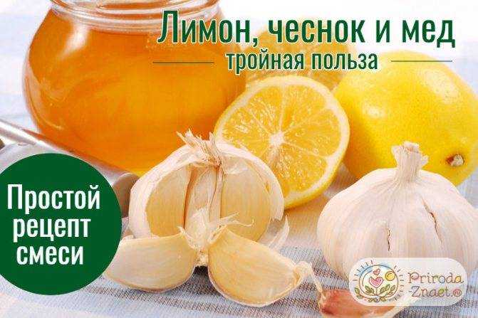 Лимон, чеснок и мед - рецепт для чистки сосудов