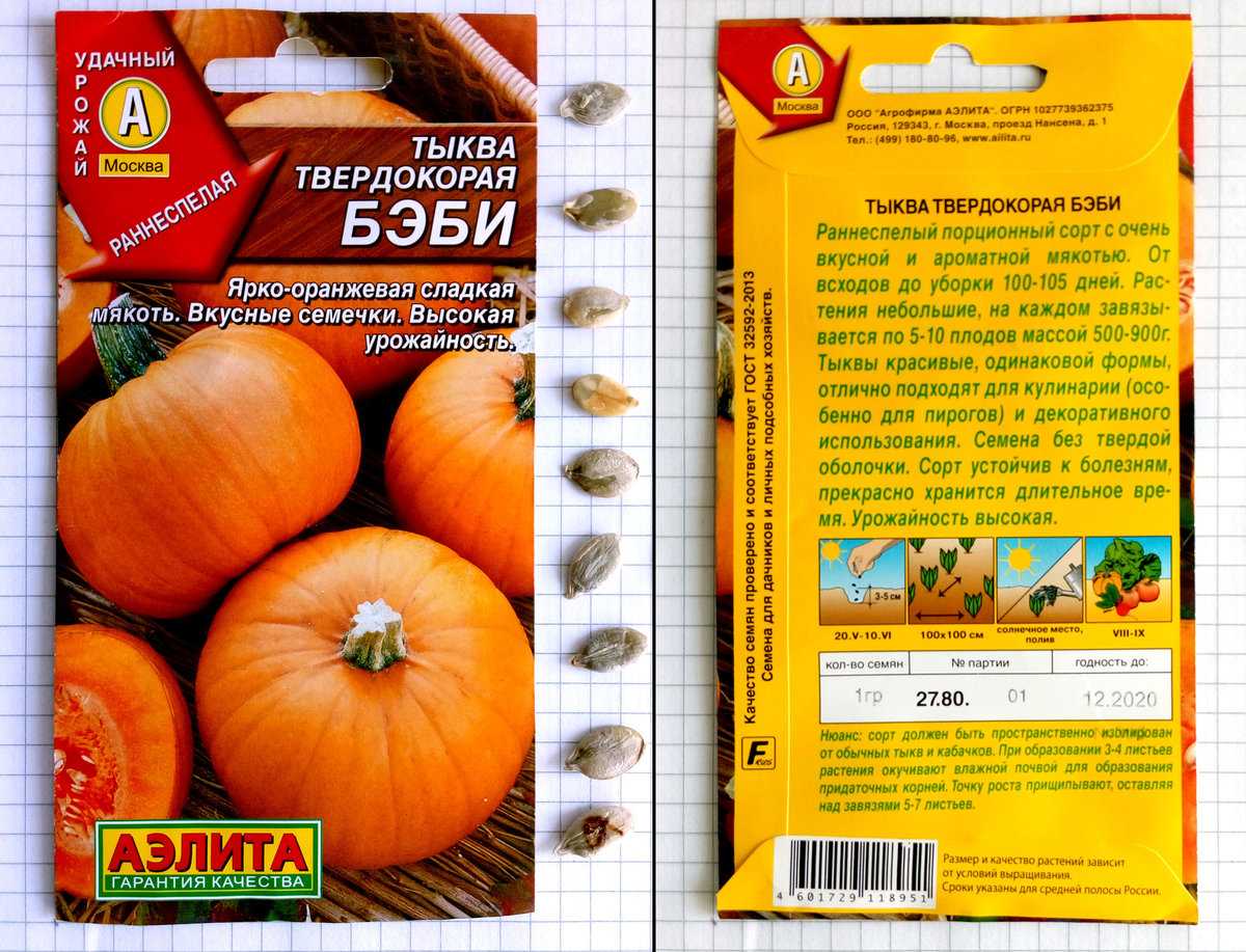 Тыква