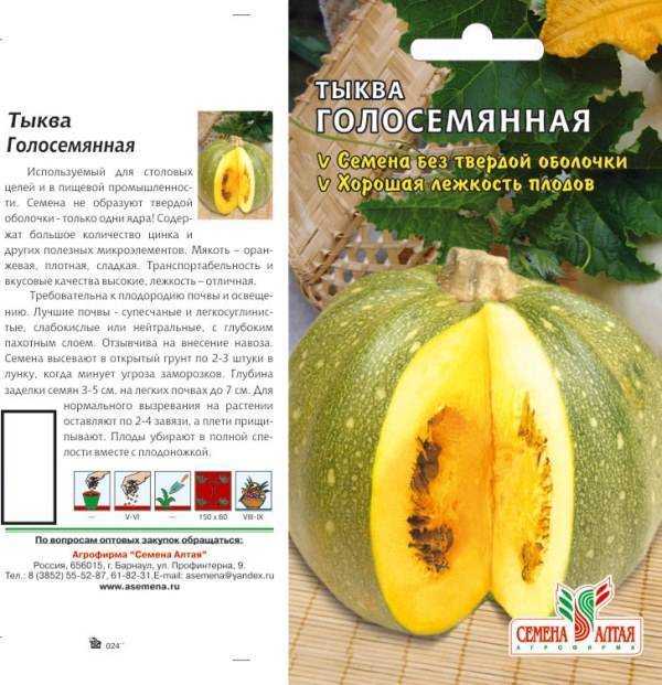 Особенности выращивания голосемянной тыквы: инструкцияи, характеристики, свойства