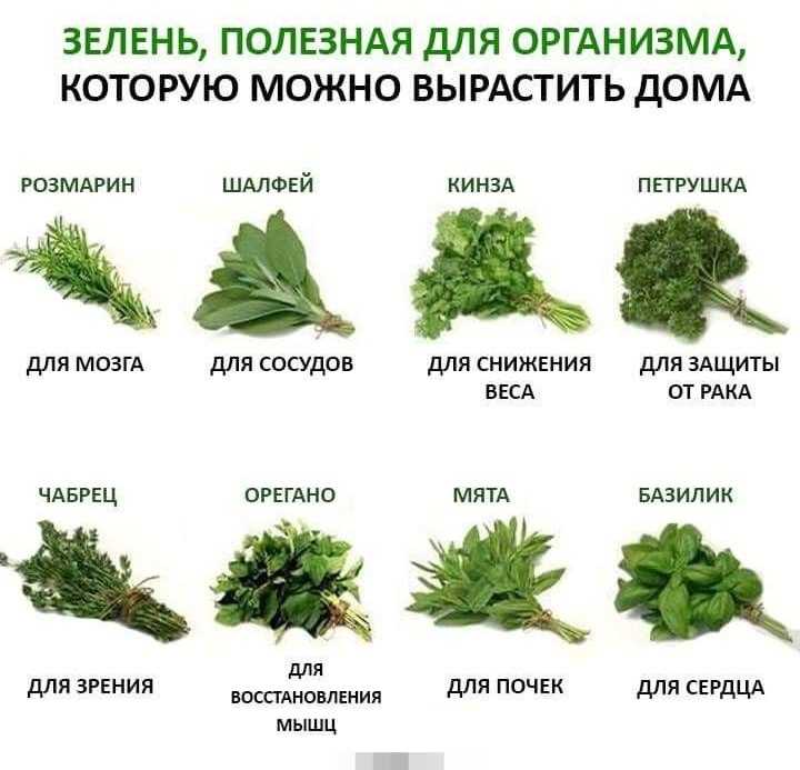 Нам чужого не надо. откуда и какую соль импортируют в россию? | рынок | деньги