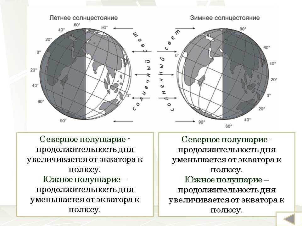 Растения длинного дня - определение термина