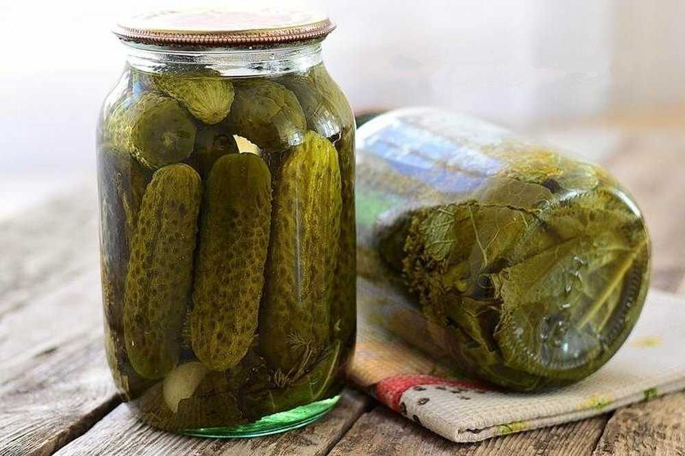 Как сохранить огурцы свежими? хранение зимой