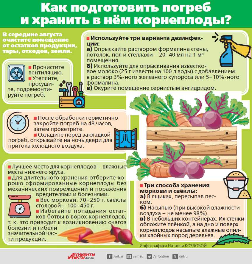 Сколько хранится картошка: от чего зависит срок хранения, как долго можно хранить, время с учетом условий, в зависимости от состояния клубней (свежая, приготовленная)