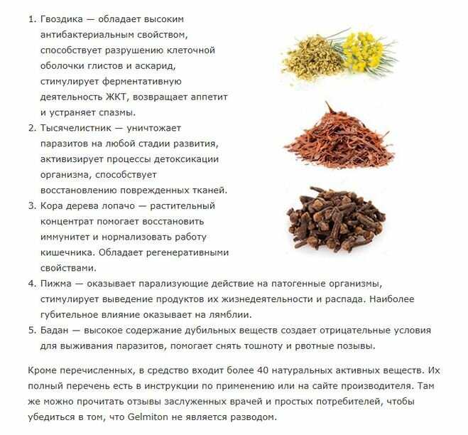 Как выбрать травы от глистов: топ лучших с рецептами
