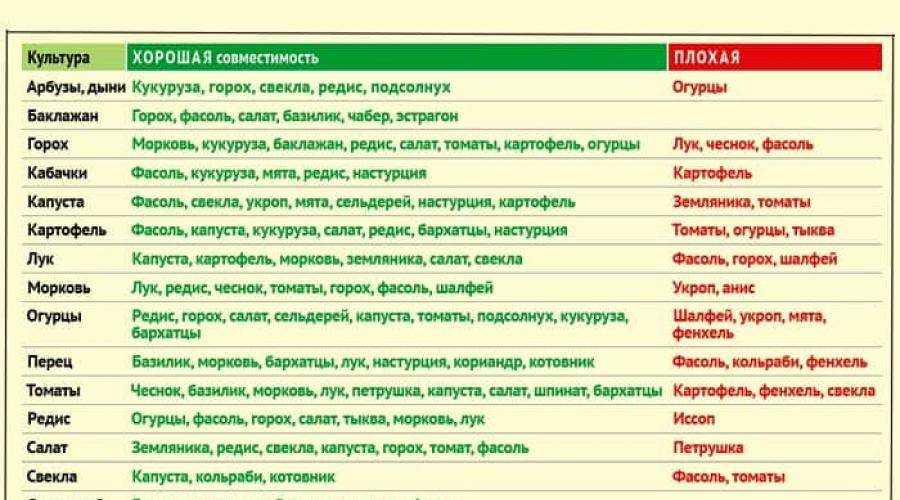 Предшественники и соседи овощных и плодово-ягодных культур: хорошие и плохие