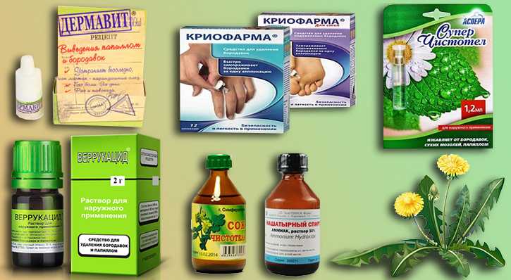 Чеснок от папиллом: пять лучших народных рецептов