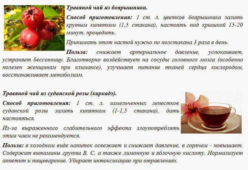 Рододендрон адамса – суперфуд долголетия. польза и вред