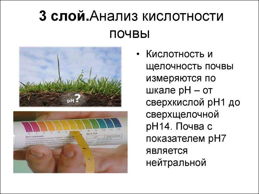 Как определить состояние почвы по сорнякам