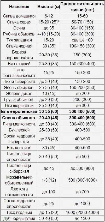 Продолжительность жизни деревьев разных видов