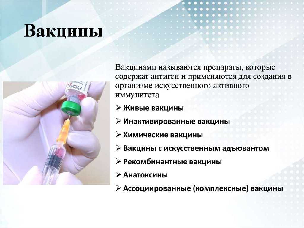 Размножение и прививание кактуса в домашних условиях