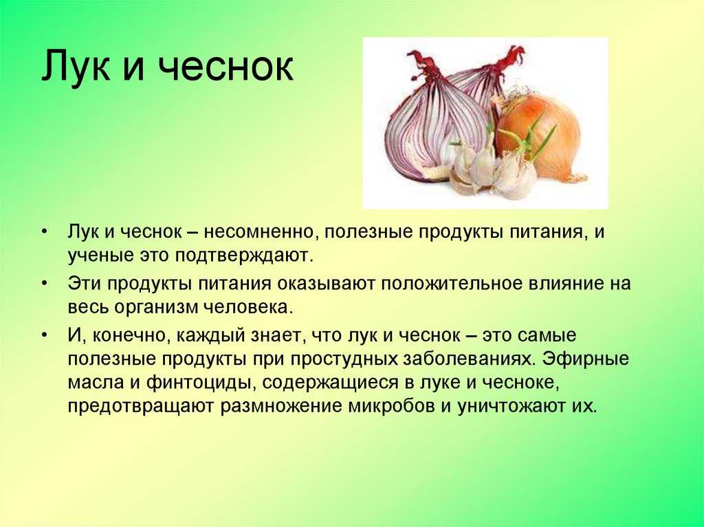 Чеснок – полезные свойства, вред и противопоказания