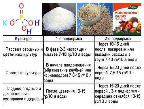 Сколько грамм удобрений в столовой ложке таблица ~ советы садоводам и огородникам