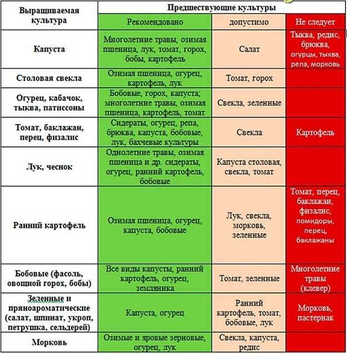 Что можно посадить в тени и полутени из овощей и зелени на даче весной + фото