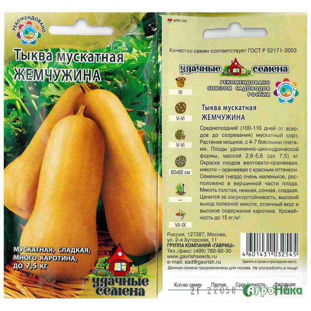 Мускатная тыква: описание 25 сортов, выращивание и уход в открытом грунте, отзывы с фото