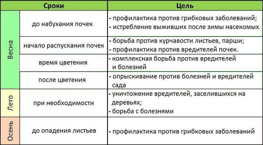 Как развести карбамид для опрыскивания деревьев в саду весной и осенью