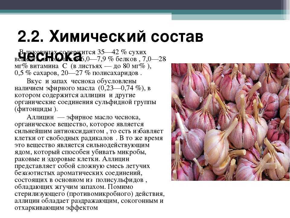 Чеснок: калорийность на 100 грамм и 1 свежий зубчик, химический состав, пищевая ценность, бжу (белки, жиры, углеводы), какие витамины содержит и сколько есть сахара? русский фермер