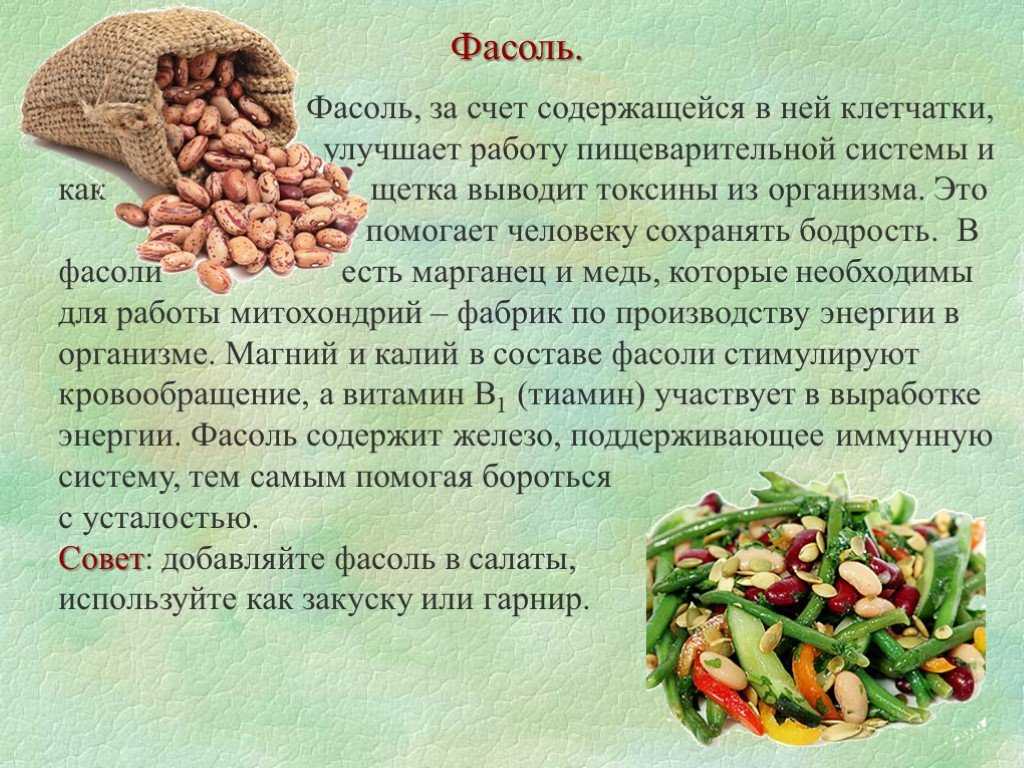 Как хранить фасоль дома после сбора урожая: способы