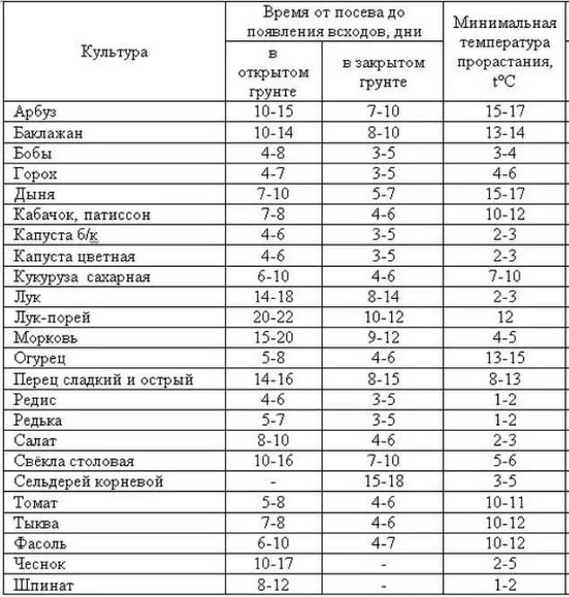 Особенности выращивания редиса и его сорта.