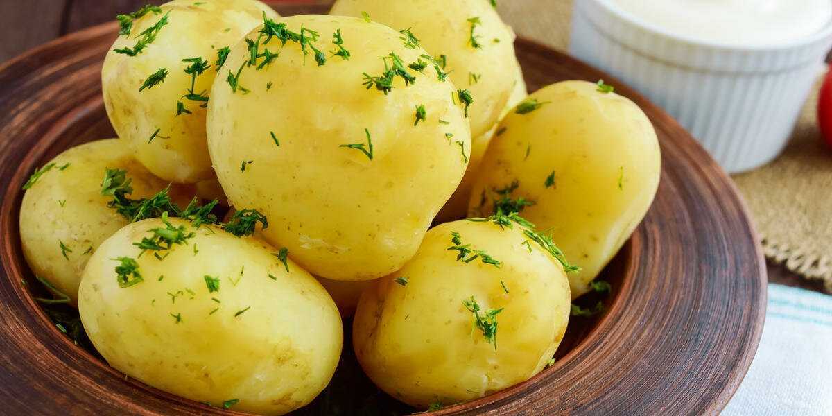 Какой сорт картофеля самый вкусный