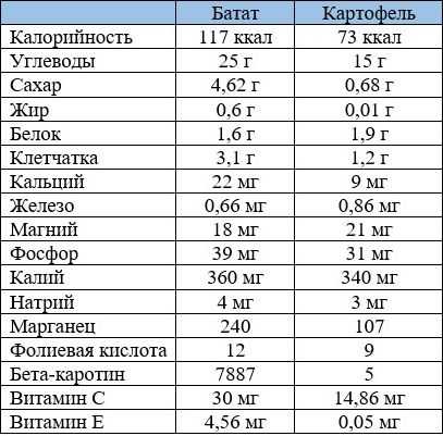 Выращивание батата в подмосковье: можно ли вырастить овощ в этом регионе, в том числе из магазинного клубня, как посадить в открытый грунт, а также уход, сбор урожая