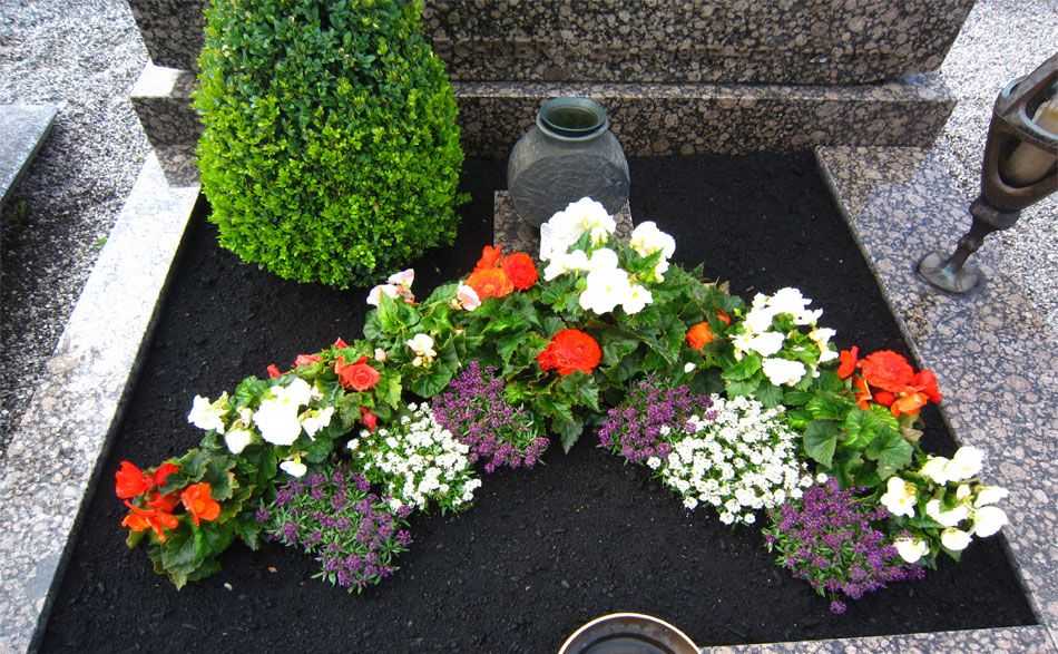 Названия многолетних цветов на могилы. Украшение могилы цветами. Декоративные цветы на могилу. Цветы на кладбище многолетние. Цветы для могилок многолетние.