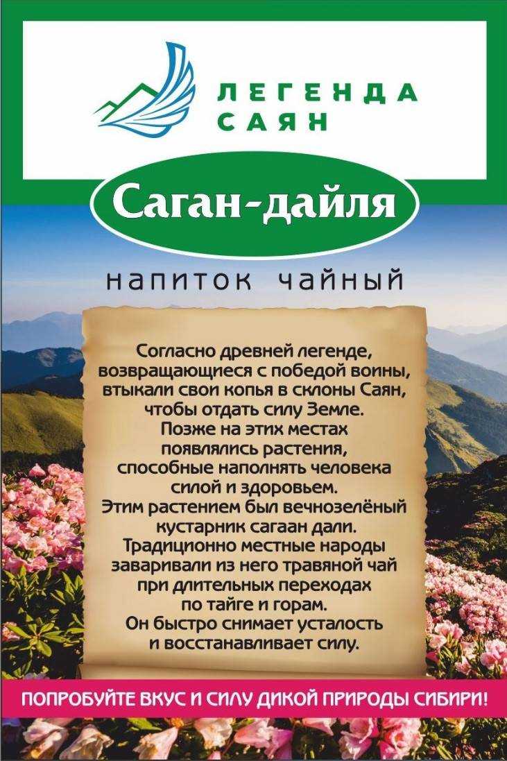 Кустарник рододендрон адамса: описание, посадка и уход