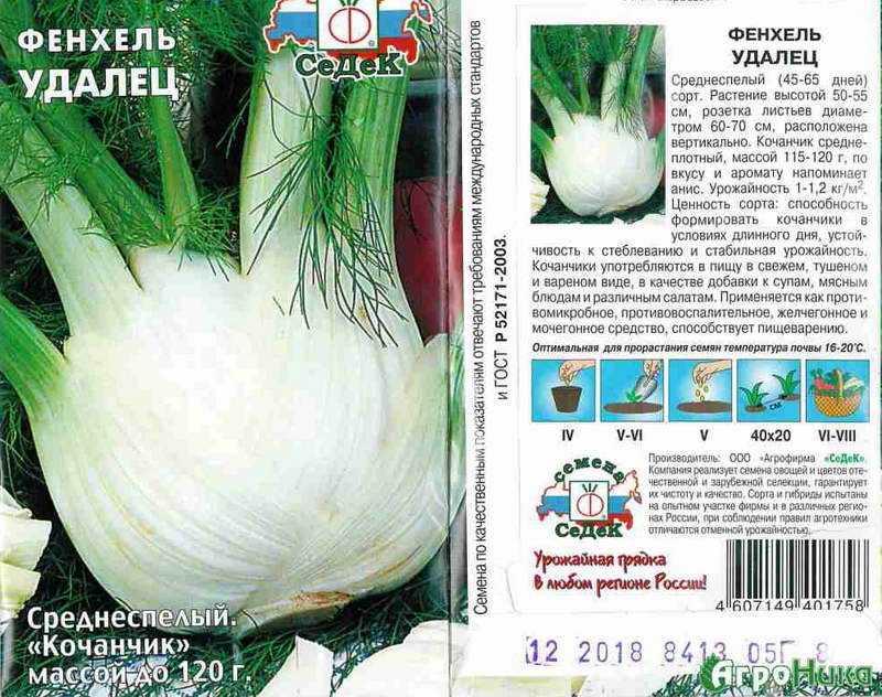 Фенхель свойства, применение, чай, масло, рецепты — траварт