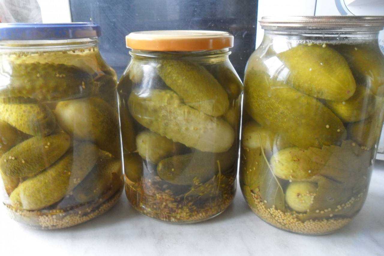 Огурцы с горчицей на зиму — 5 самых вкусных рецептов