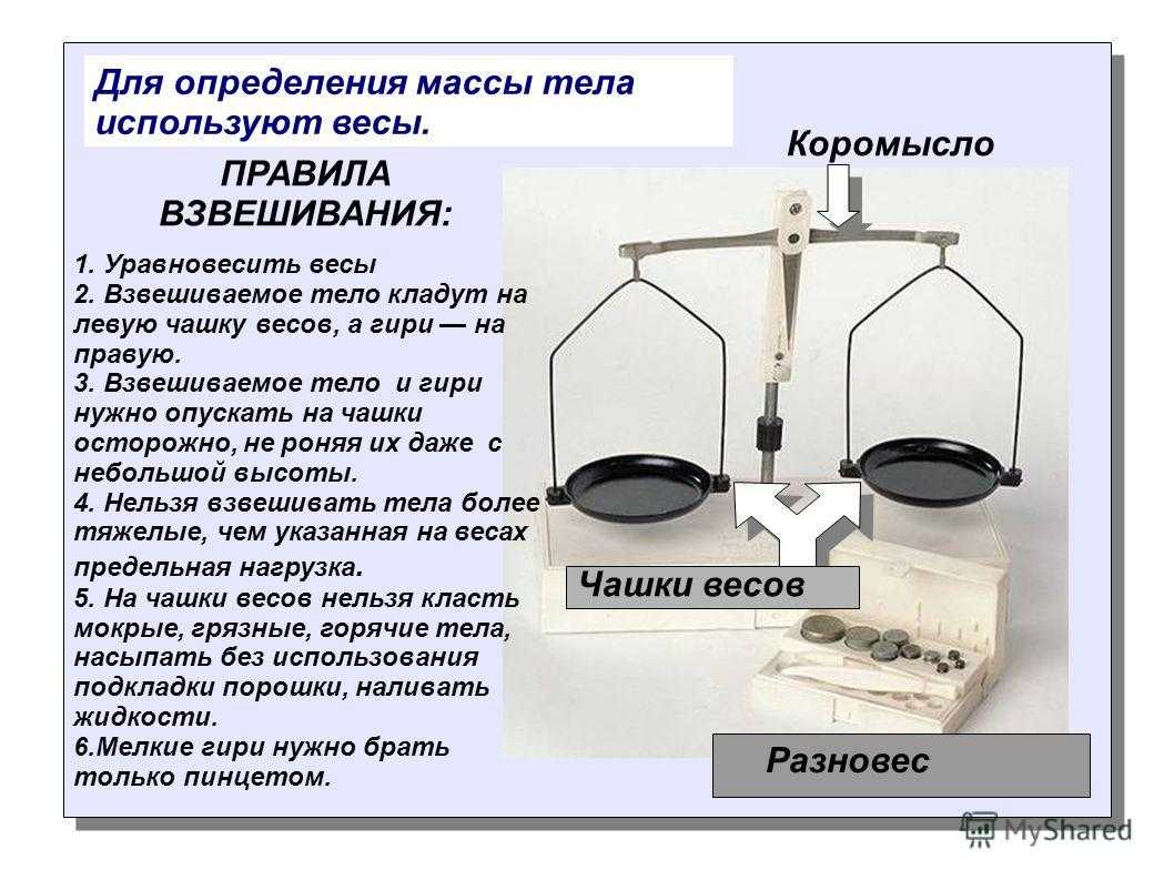 Вечная роза в стеклянной колбе