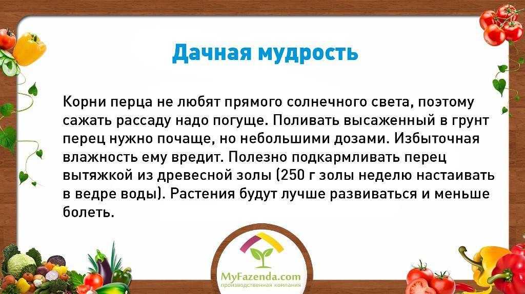 Всё о пальме: что представляет собой данное растение, где и сколько растет, а также как выглядит на фото?