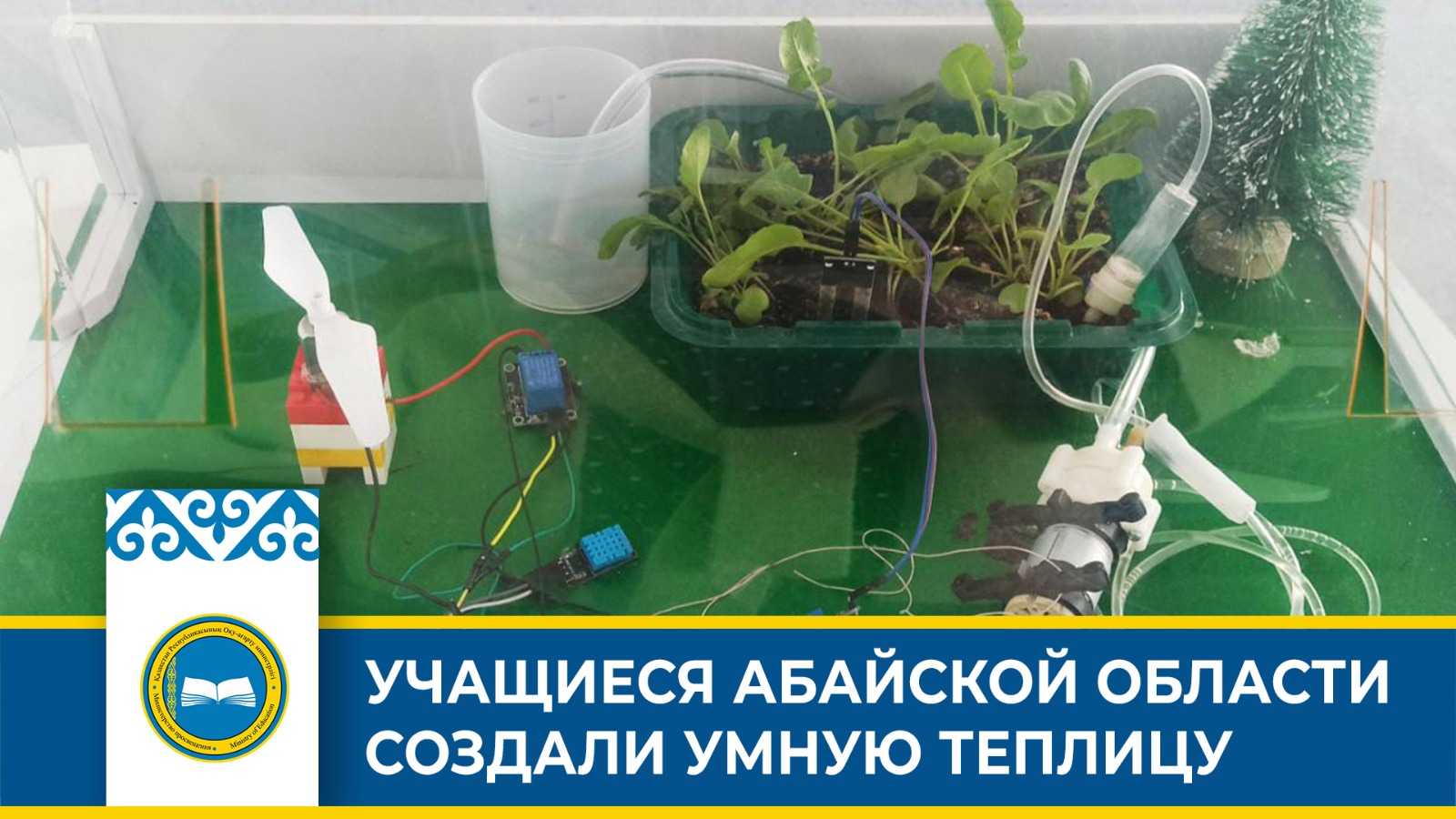 Парники зимой: как подготовить грунт и дезинфицировать почву от болезней + видео