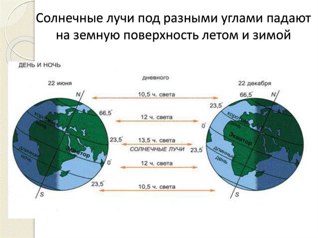 Растения длинного дня - определение термина