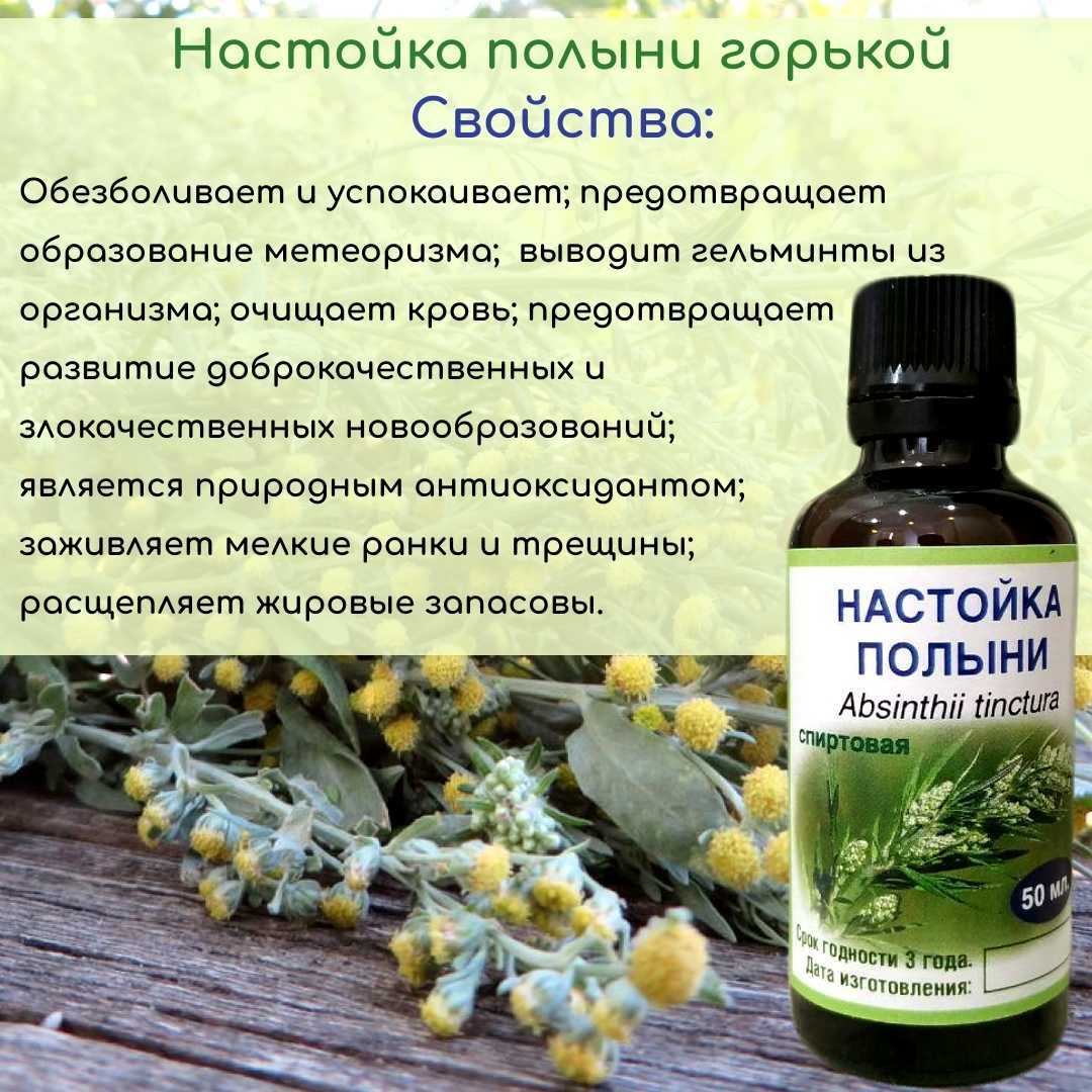 Кактус опунция - лечебные свойства, описание видов и уход