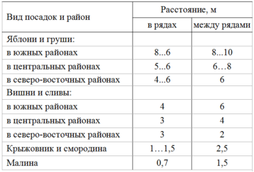 Расстояние между деревьями при посадке сада таблица