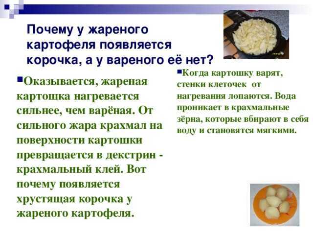Почему промороженный картофель после оттаивания становится сладким