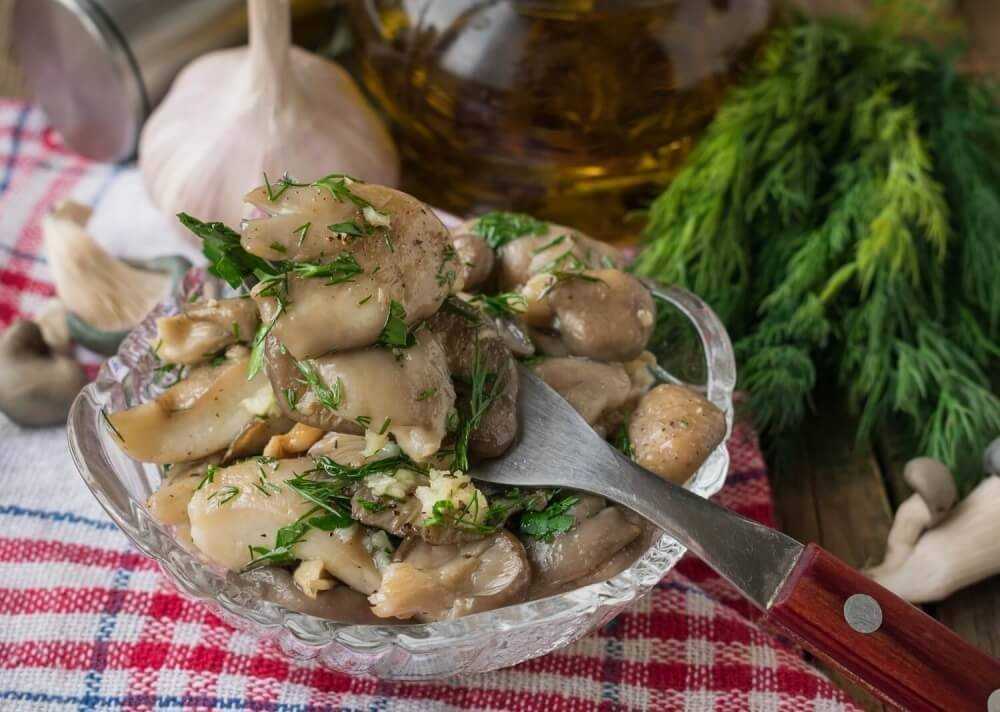 Вешенки: как готовить, варить, жарить: 6 рецептов