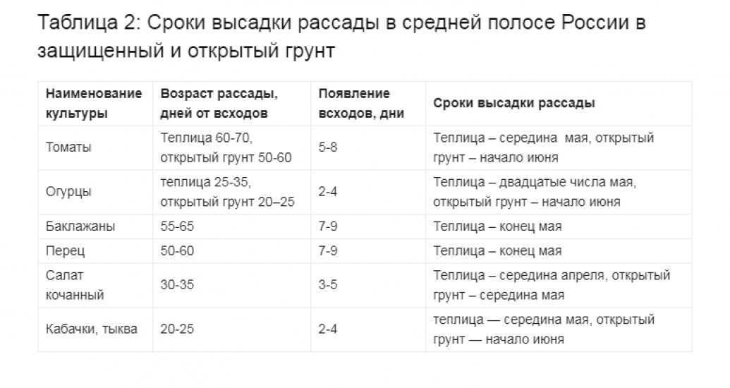Посадка томатов в открытый грунт рассадой